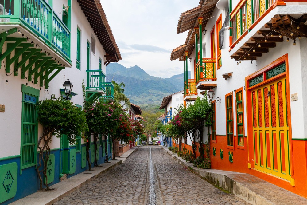 IDMERIT COLOMBIA